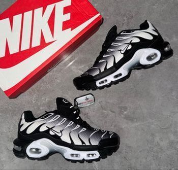 Nike tn noir gris blanc 43