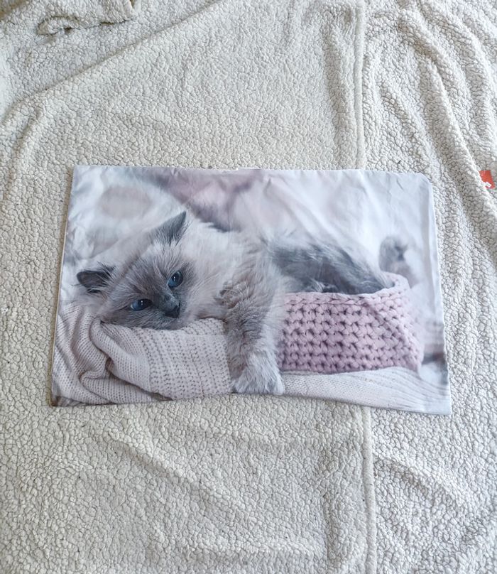 Taie d’oreiller rectangulaire chat mignon cocooning 47x76cm déco cosy kawaii cat animals