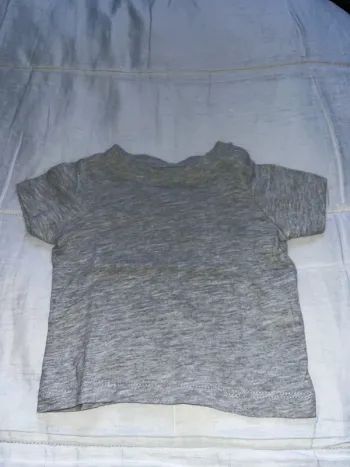 Tee shirt gris