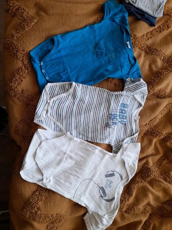Lot de 3 bodys manches courtes absorba