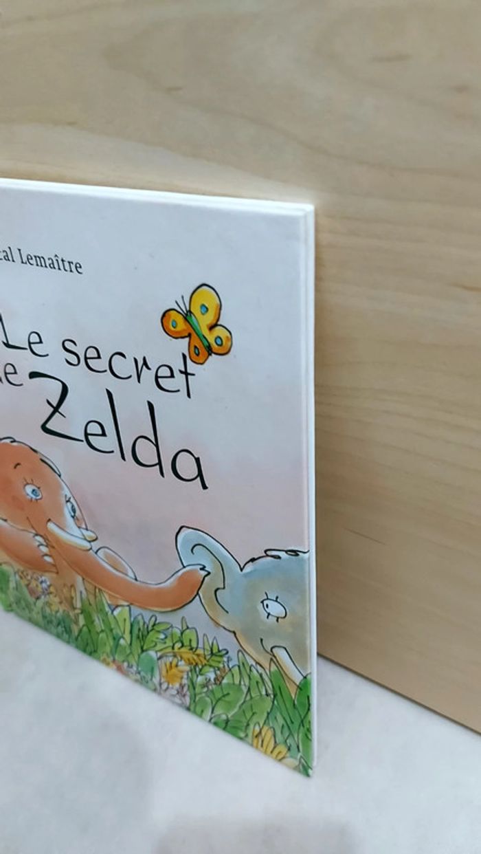 📚 Livre : Le secret de Zelda - photo numéro 5