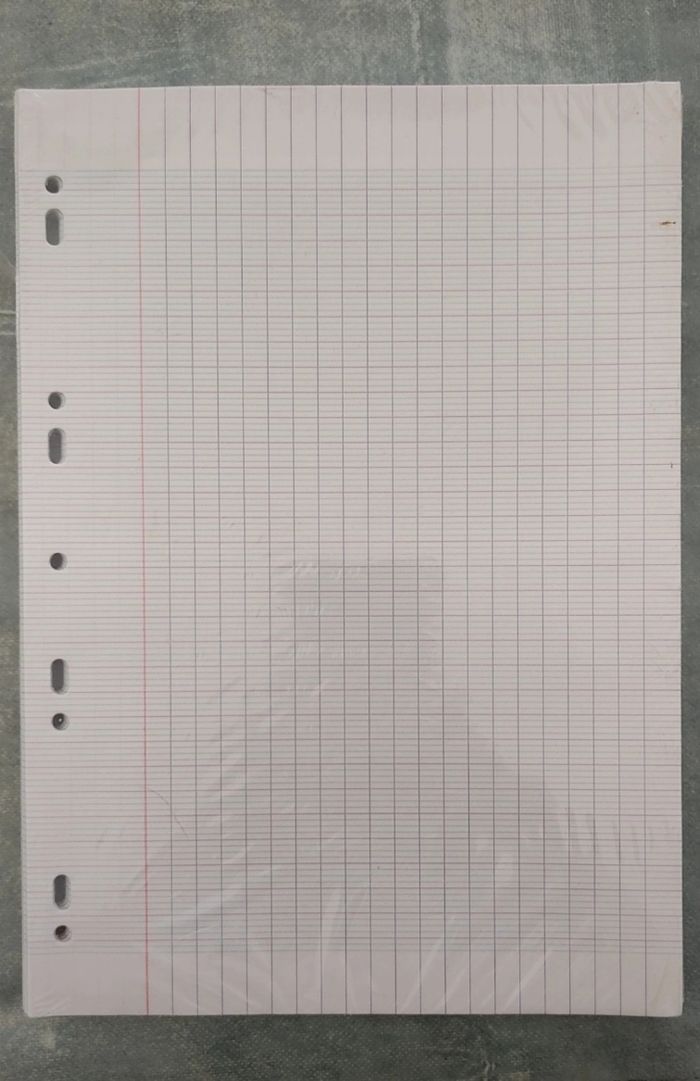 500 Copies Doubles Calligraphe - photo numéro 3