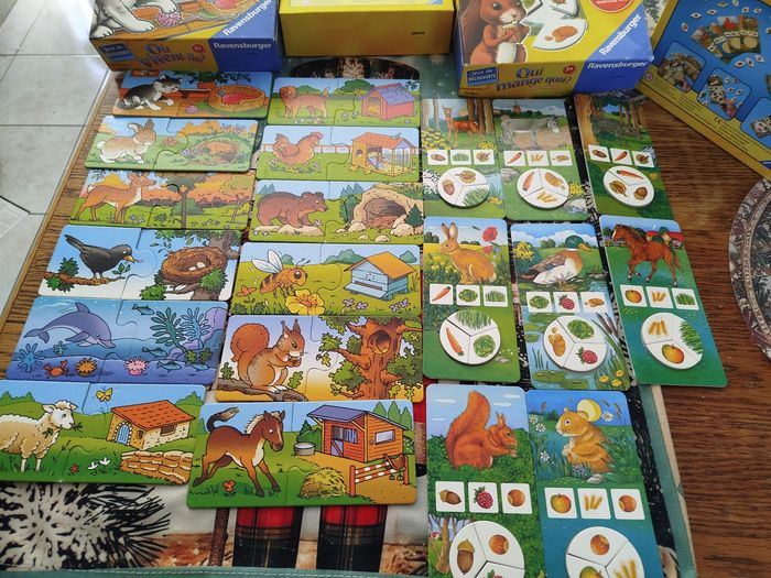 Lot de jeux éducatifs - photo numéro 13