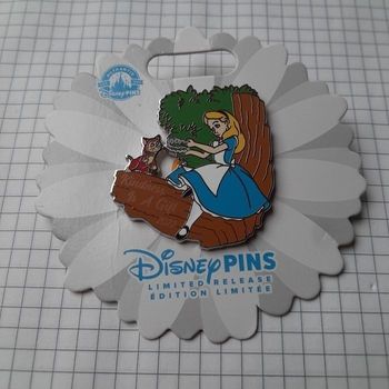 Poins disney rare d alice