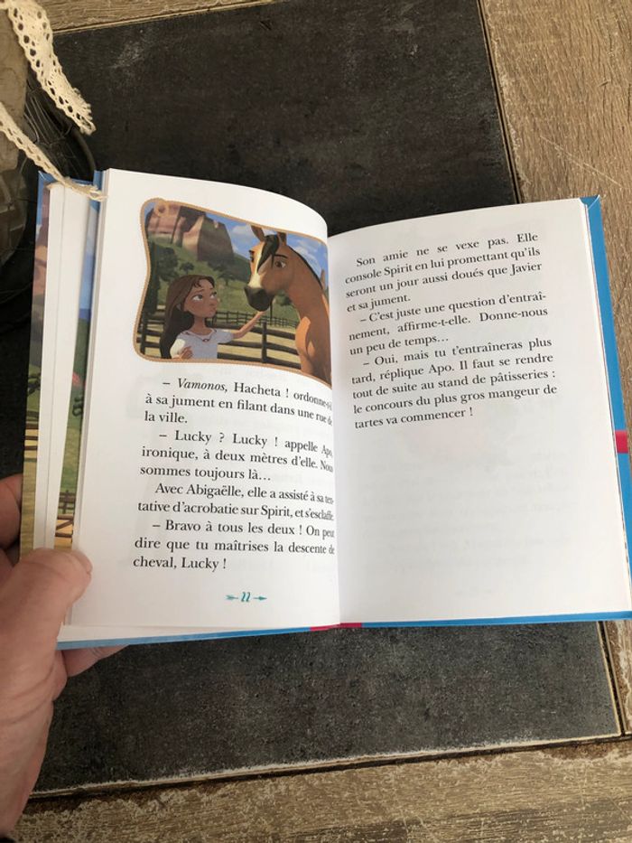 Livre Spirit - photo numéro 4