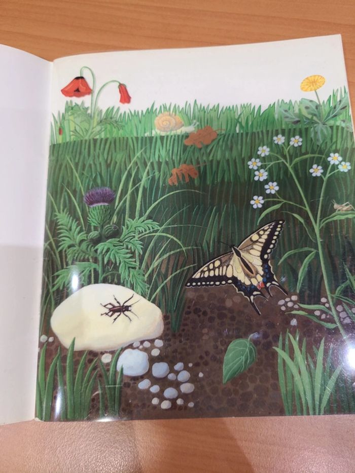 Cache cache le monde sous terre - photo numéro 7