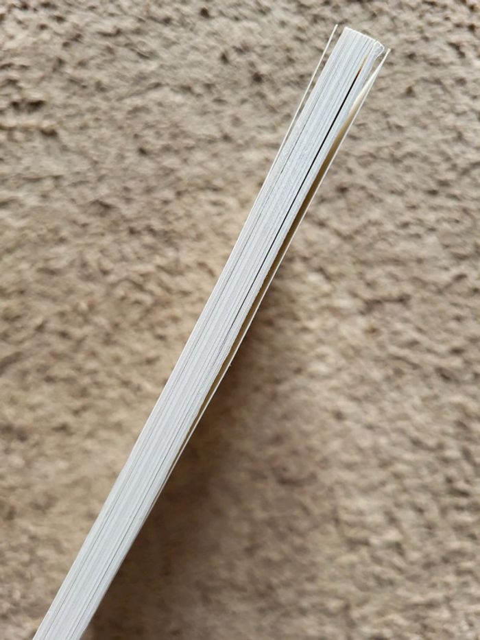 Lot 2 livres Mon écrivain préféré – Marie Desplechin & Brigitte Smadja – École des Loisirs - photo numéro 10