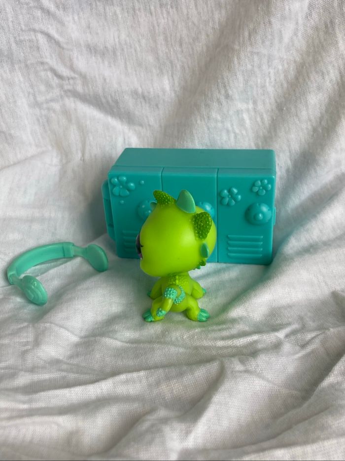 lps iguane - photo numéro 4