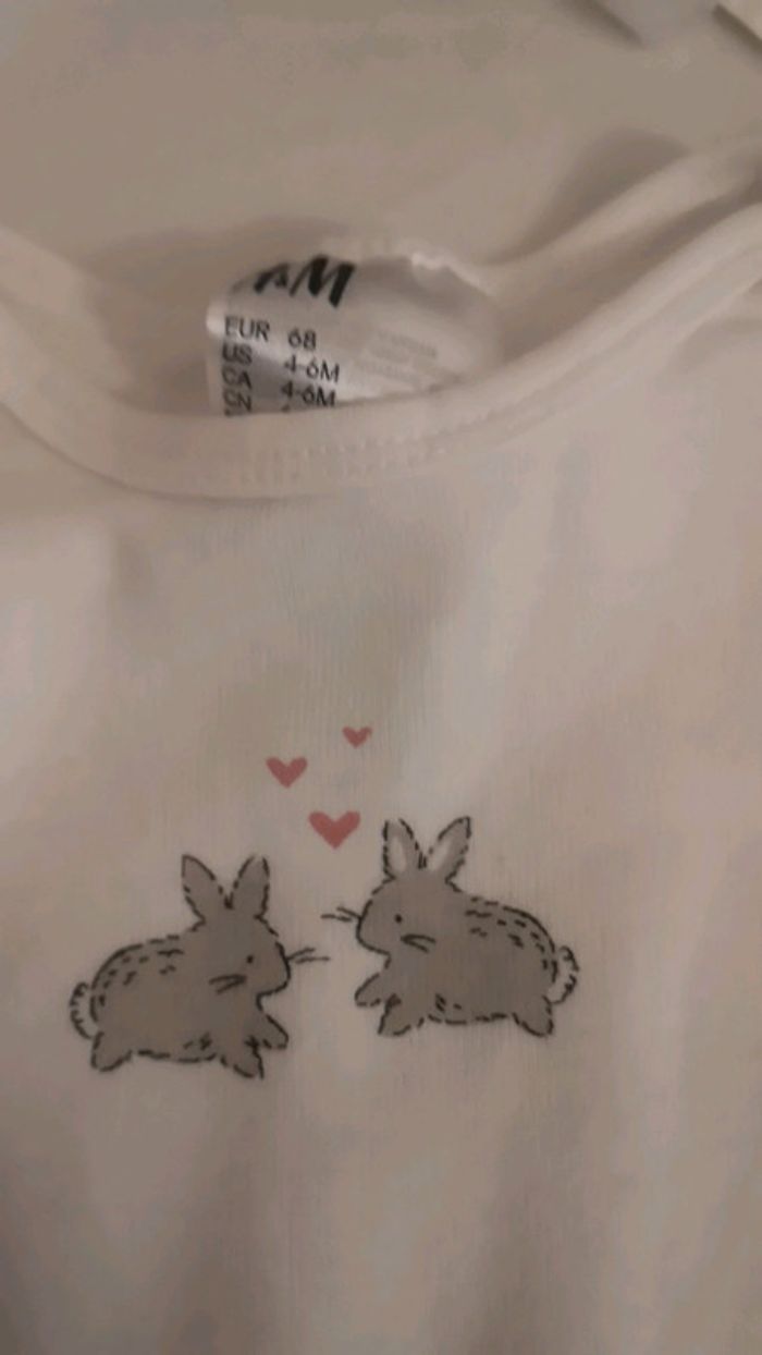 Bodie H&M - photo numéro 2