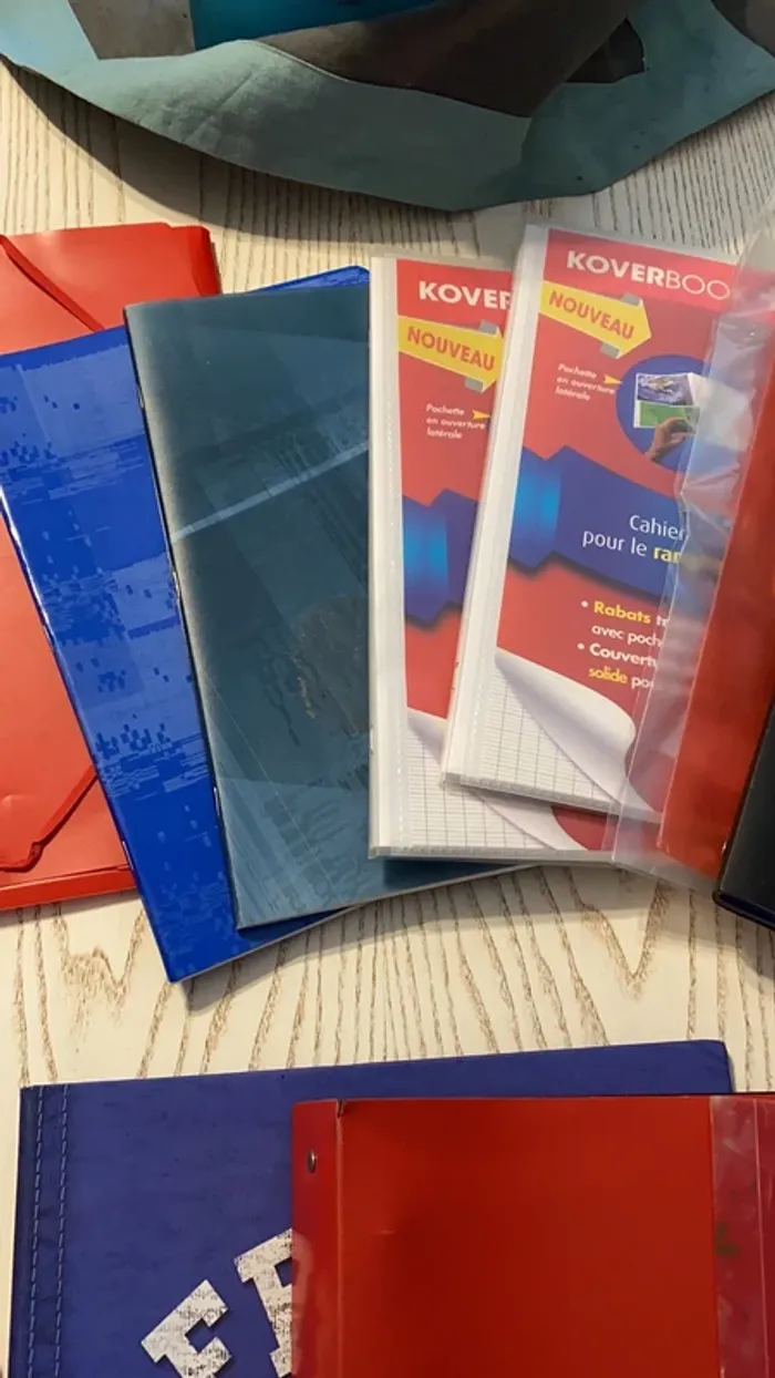 gros lot scolaires classeurs cahiers trieurs porte vues etc - photo numéro 3