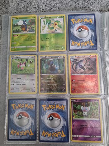 Lot de carte pokemon holo et reverse Carabing Vipelierre Skitty Solochi Scrutella
