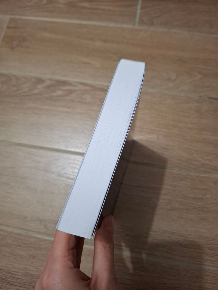 Un patron milliardaire de Leslie North - photo numéro 4