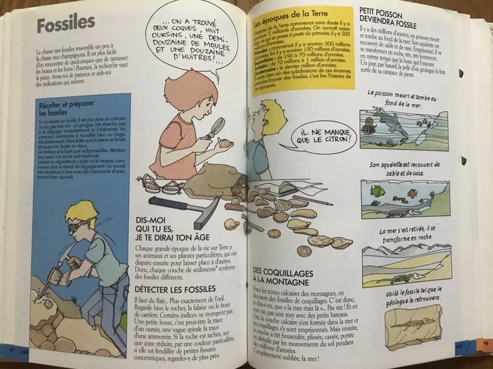 Copain des bois - photo numéro 2