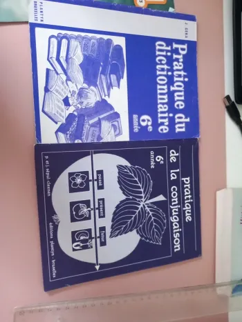 Lot de livrets Pratique du dictionnaire et conjugaison