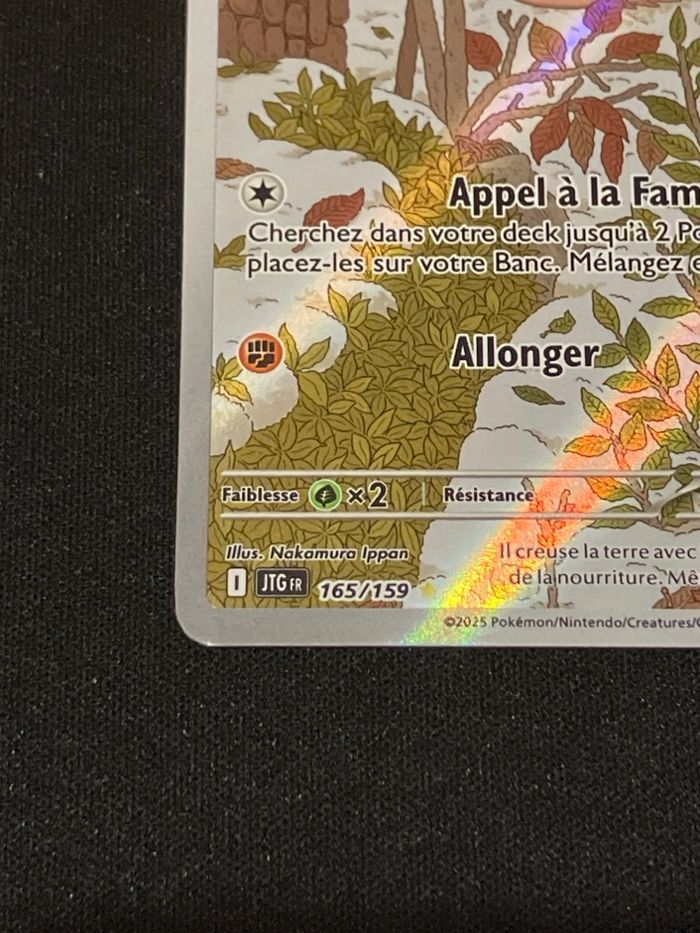 Marcacrin 165/159 - photo numéro 2