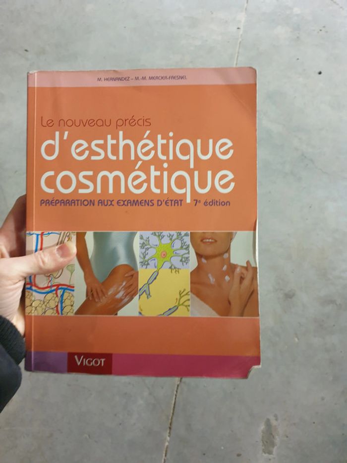 Précis esthétique gde édition