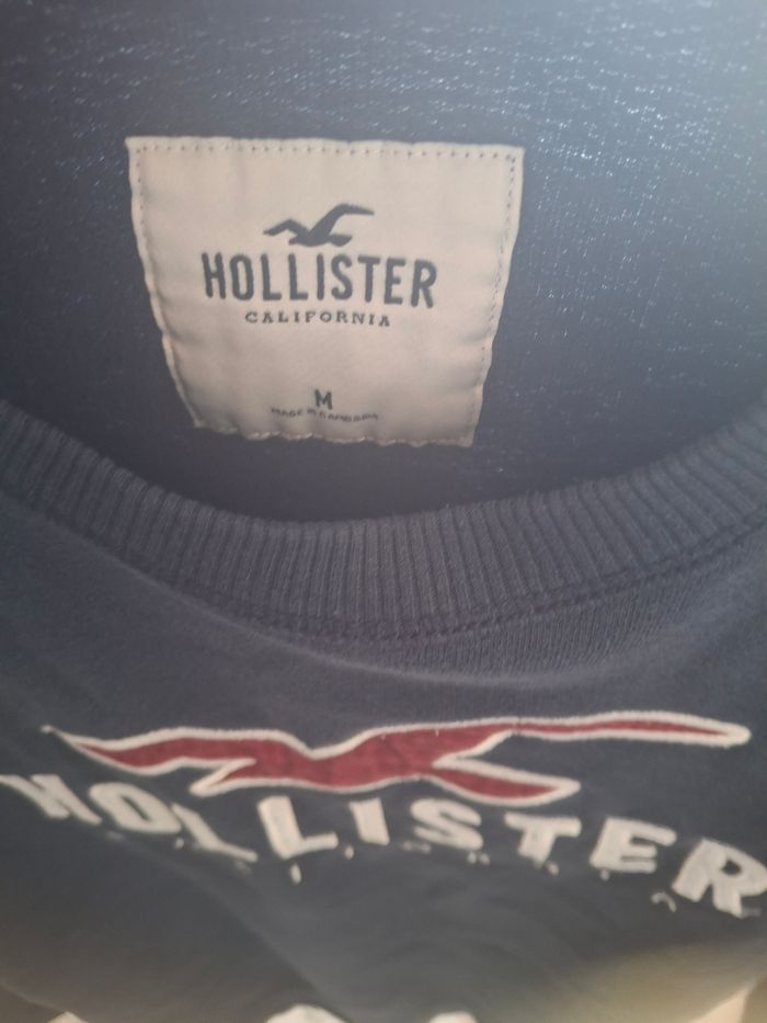 Pulle de la marque Hollister - photo numéro 7