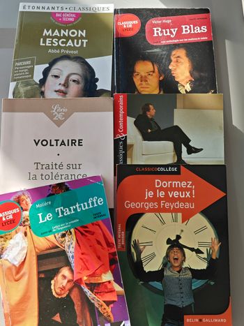 Lot de livres de poches