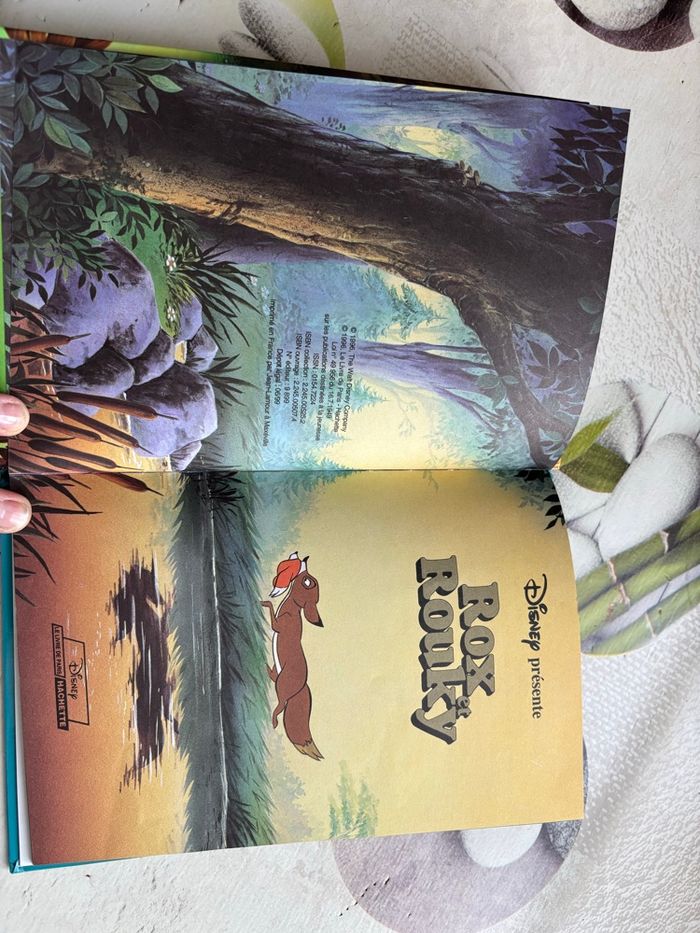 Livre Disney - photo numéro 2