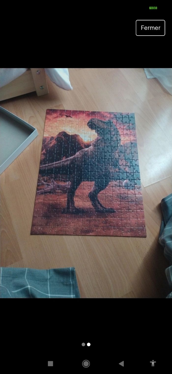 Puzzle - photo numéro 2