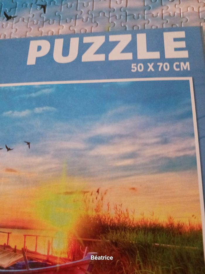 Pulzze 1000 pieces - photo numéro 9