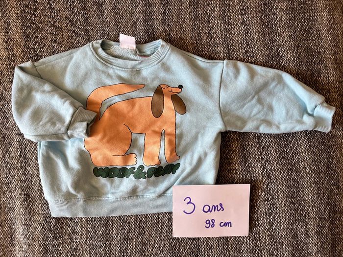 Pull Zara