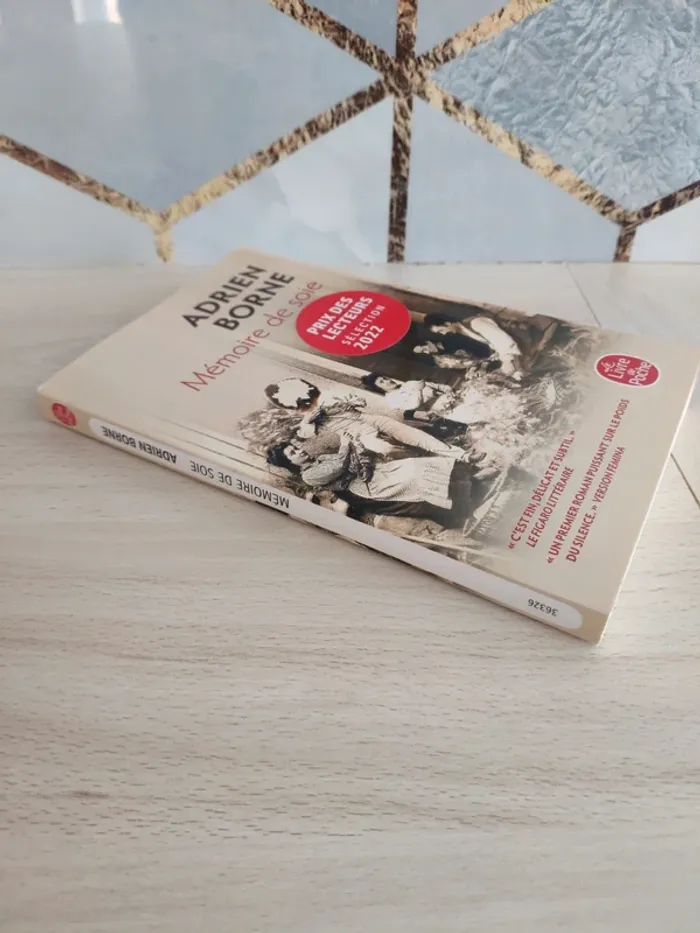 Livre poche mémoire de soie Borne - photo numéro 3