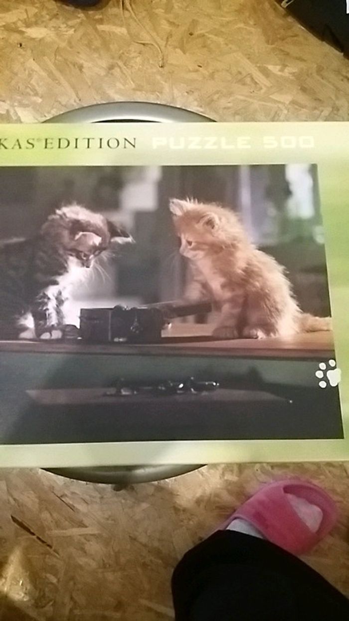 Puzzle - photo numéro 2