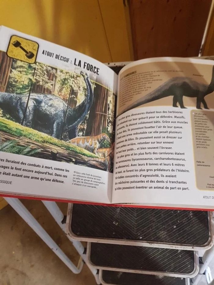 Livre super dinos larousse - photo numéro 2