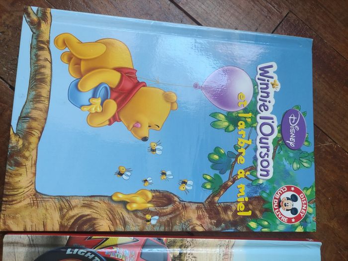 Livre - photo numéro 3