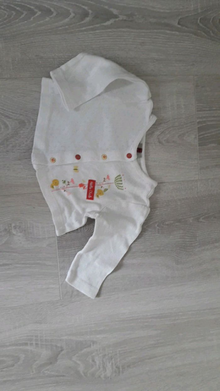 Gilet fin - photo numéro 2