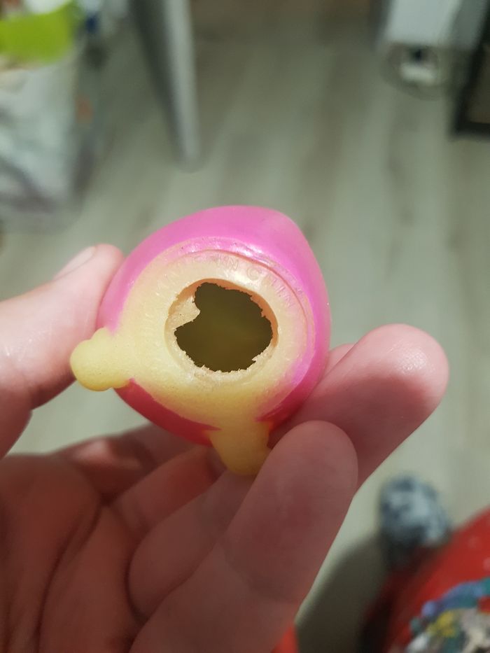 Luxiole luciole - photo numéro 4