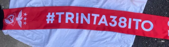 Écharpe benfica - photo numéro 4