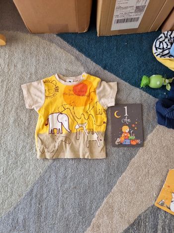 Tee shirt absorba 12 mois