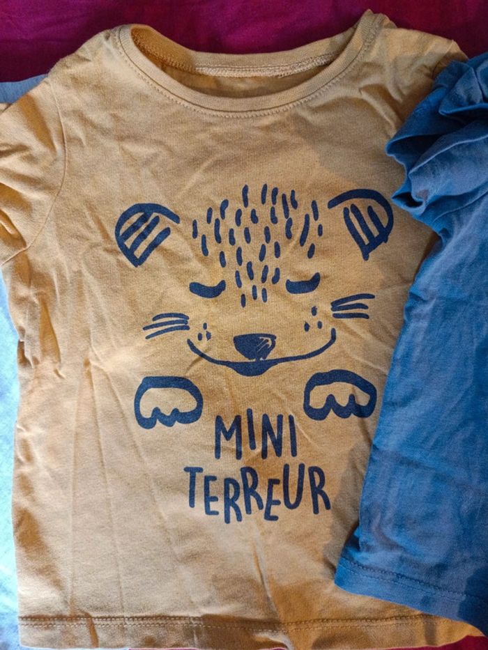3 tshirt 18mois garçon - photo numéro 3