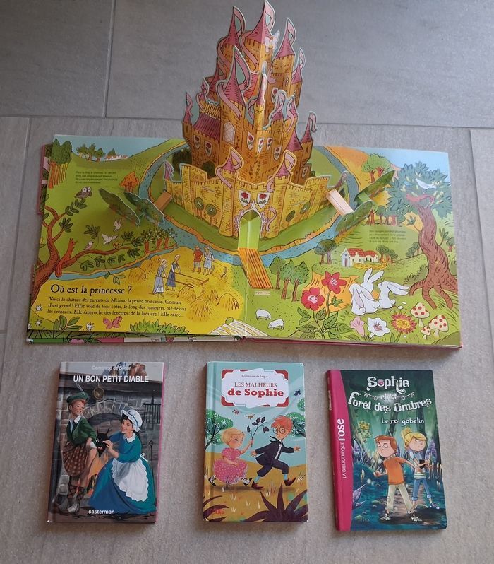 Le journal de Gurty et autres livres - photo numéro 4