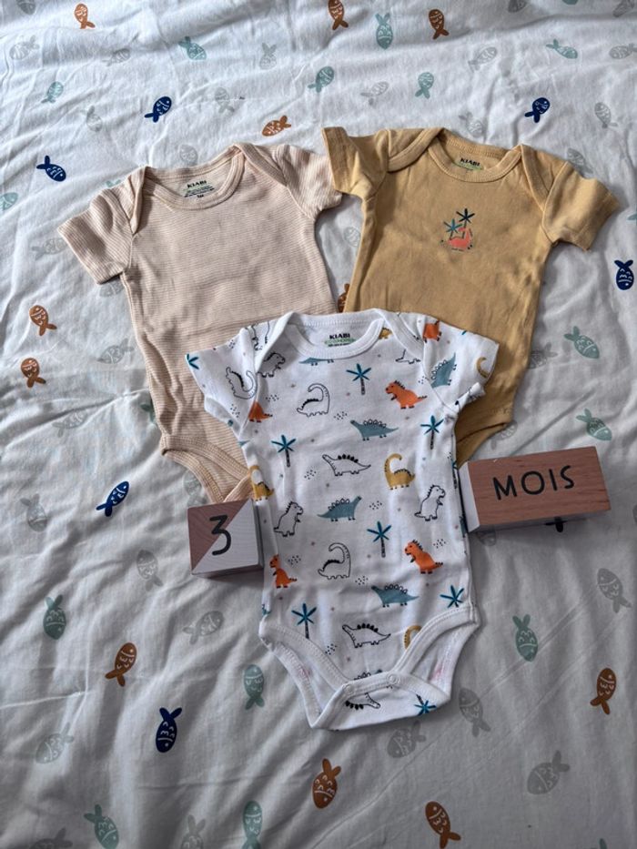 Bodies 3 mois