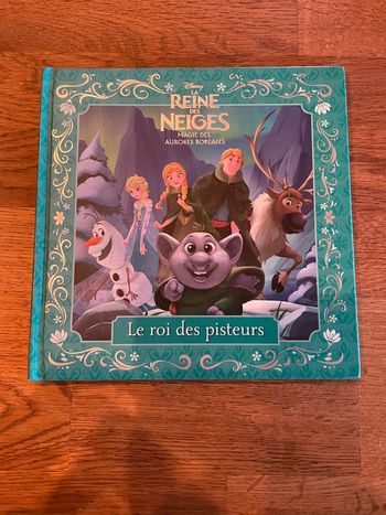 Livre La reine des neiges Magie des aurores boréales Le roi des pisteurs