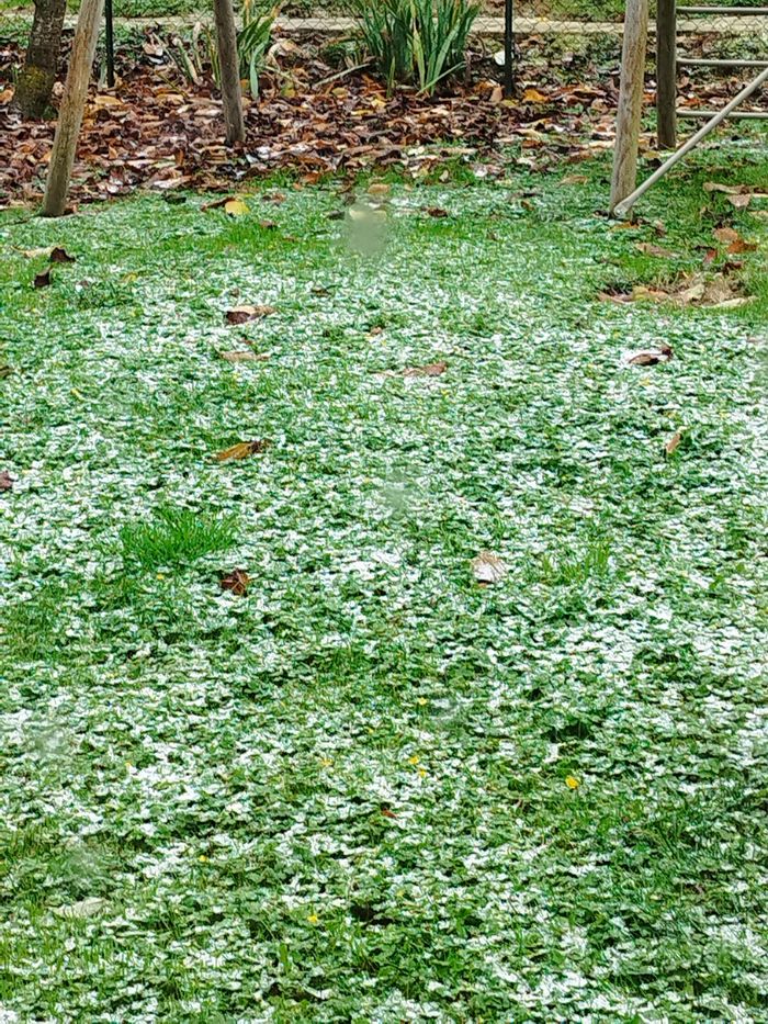 Annonce impossible à supprimer