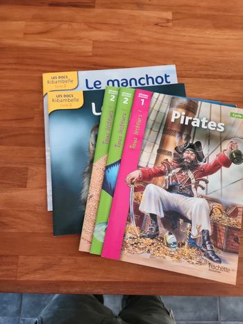 Lot de 5 livre : Nivezu lecture