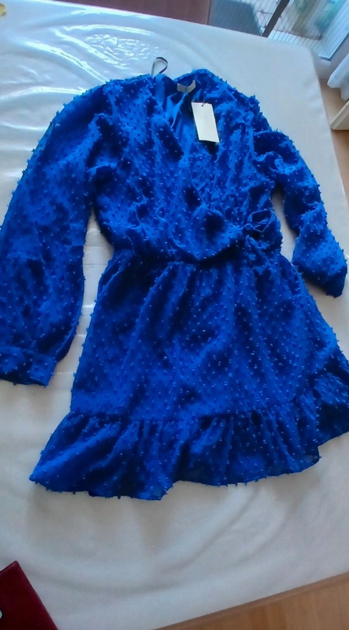 Robe bleue - photo numéro 6