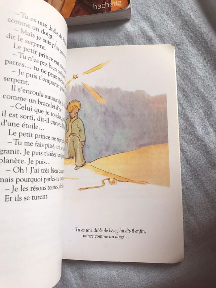 Livre le petit prince de Antoine de saint exupery - photo numéro 3