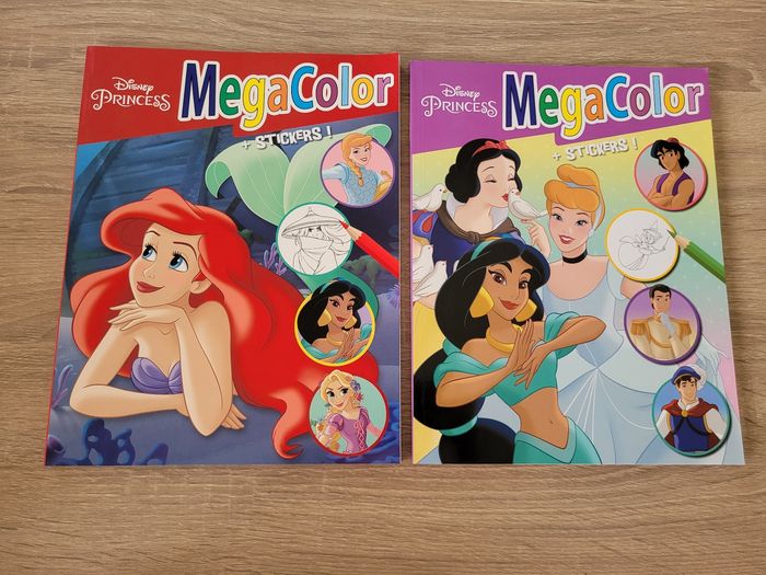 Lot de 2 livres de coloriages Disney
