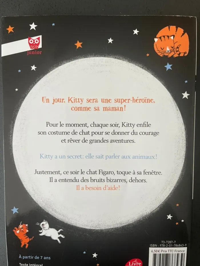 Kitty au clair de la lune - photo numéro 2
