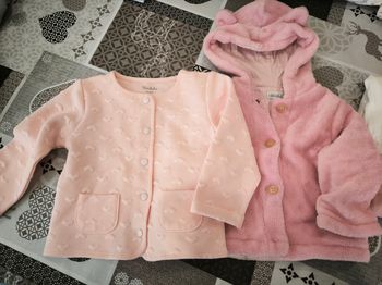 Vestes 
