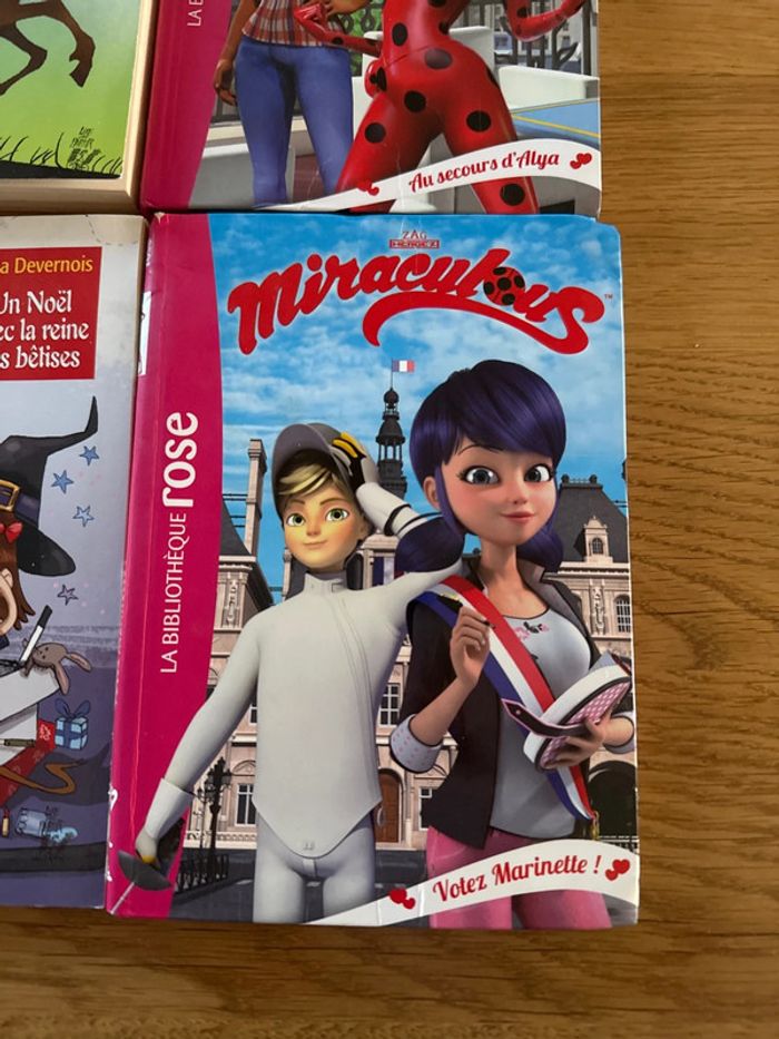 Lot de 20 livres pour enfants - photo numéro 6