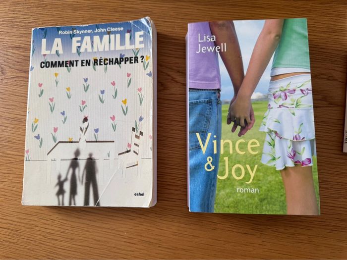 Lot de 2 livres La famille Comment en réchapper Vince & Joy – Lisa Jewell – Roman en français et