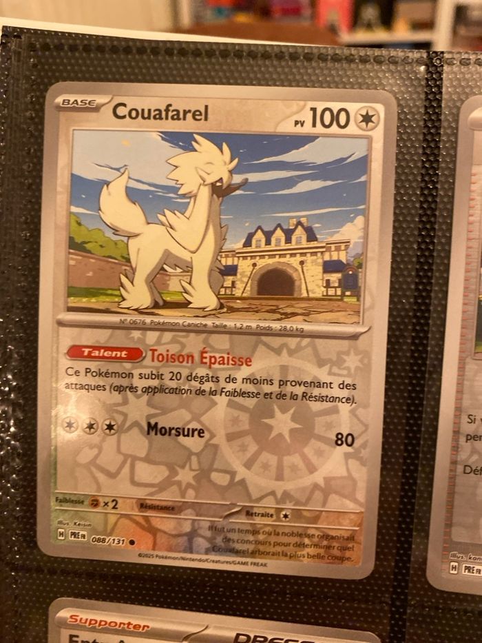 Carte Pokémon neuf
