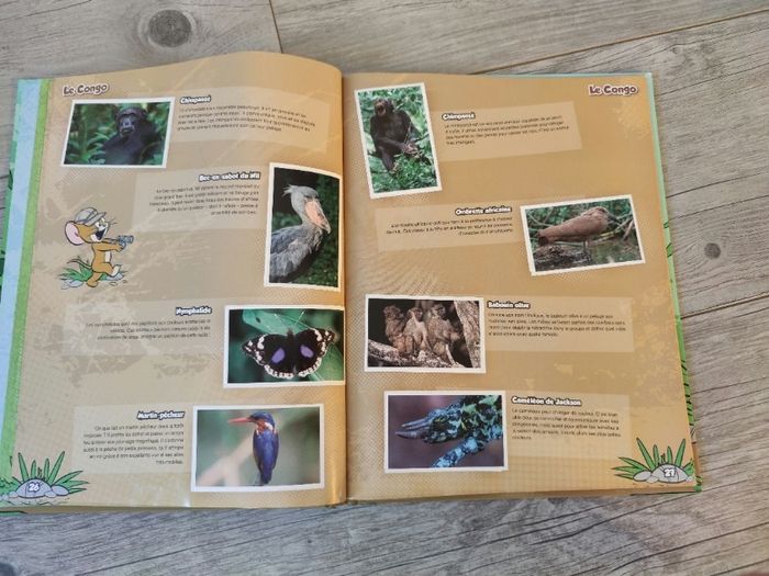 Coffret jungle mania - photo numéro 2