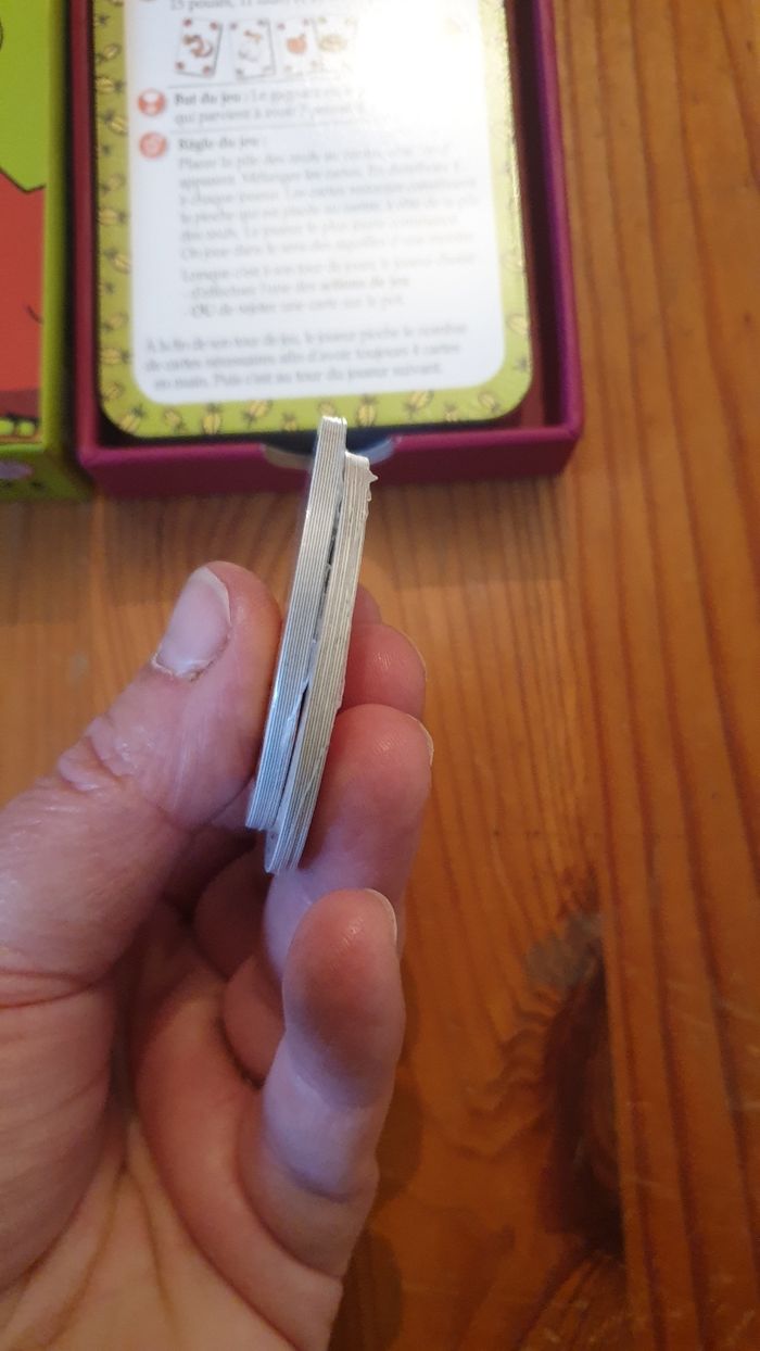 Piou Piou - photo numéro 7